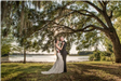 Bride and groom underneath large tree